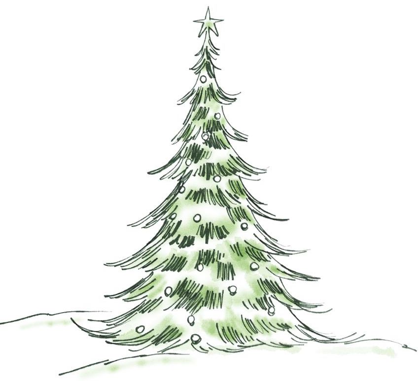 /media/firstaidtips/library/christmas-tree.jpg