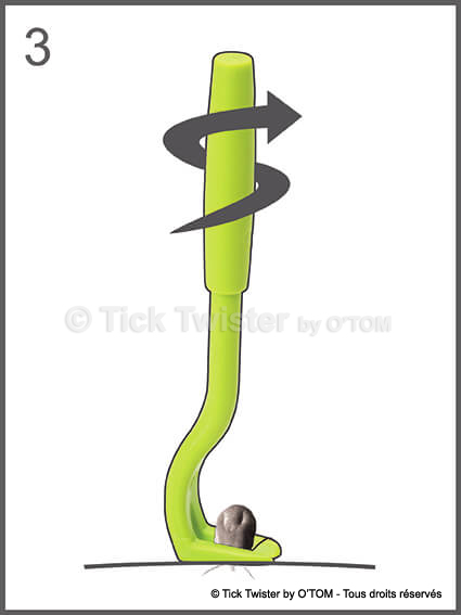/media/firstaidtips/library/tick-twister-croquis-3.jpg