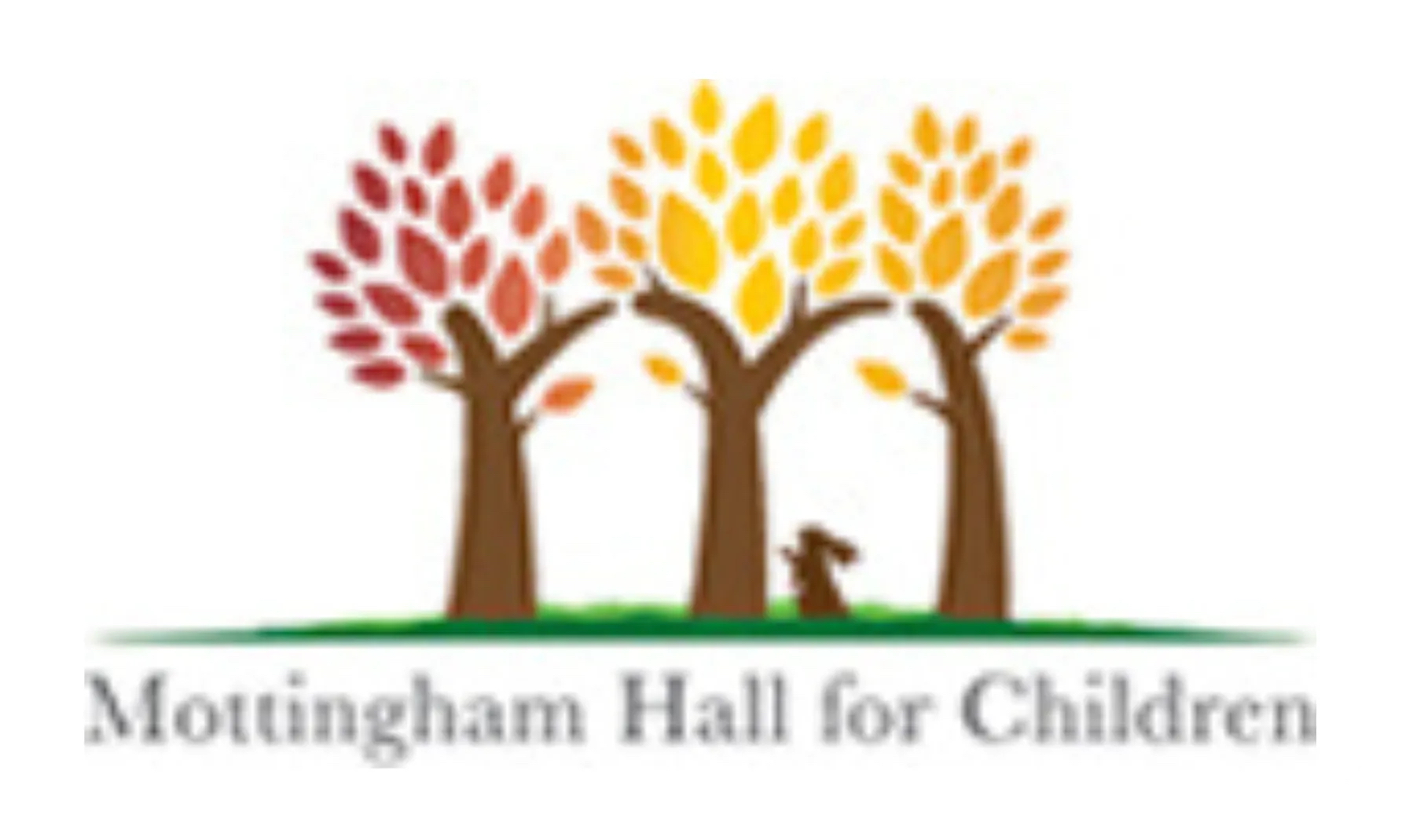 /media/testimonials/library/mottingham-hall-logo.jpg